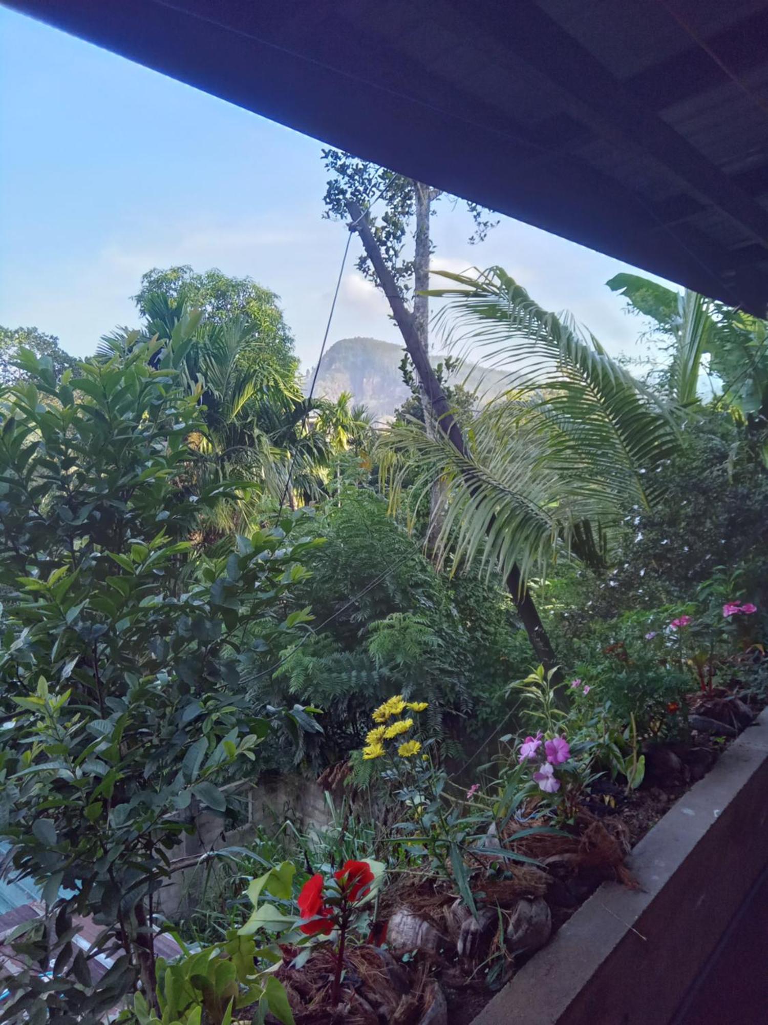 Aroma Heaven Homestay Ella Esterno foto