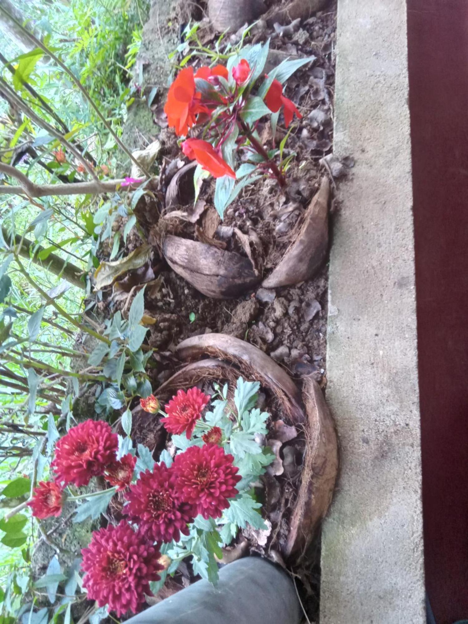 Aroma Heaven Homestay Ella Esterno foto