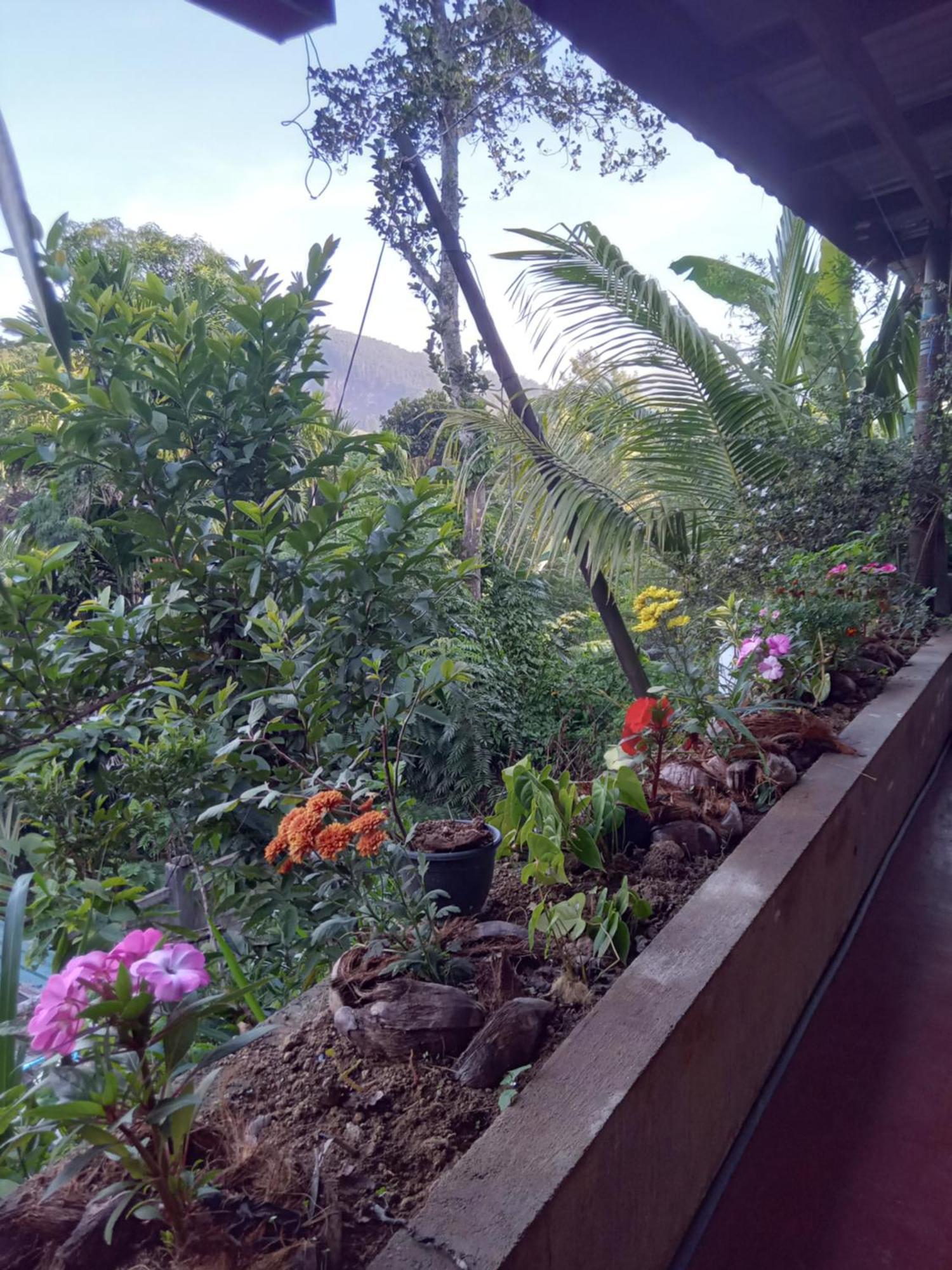 Aroma Heaven Homestay Ella Esterno foto