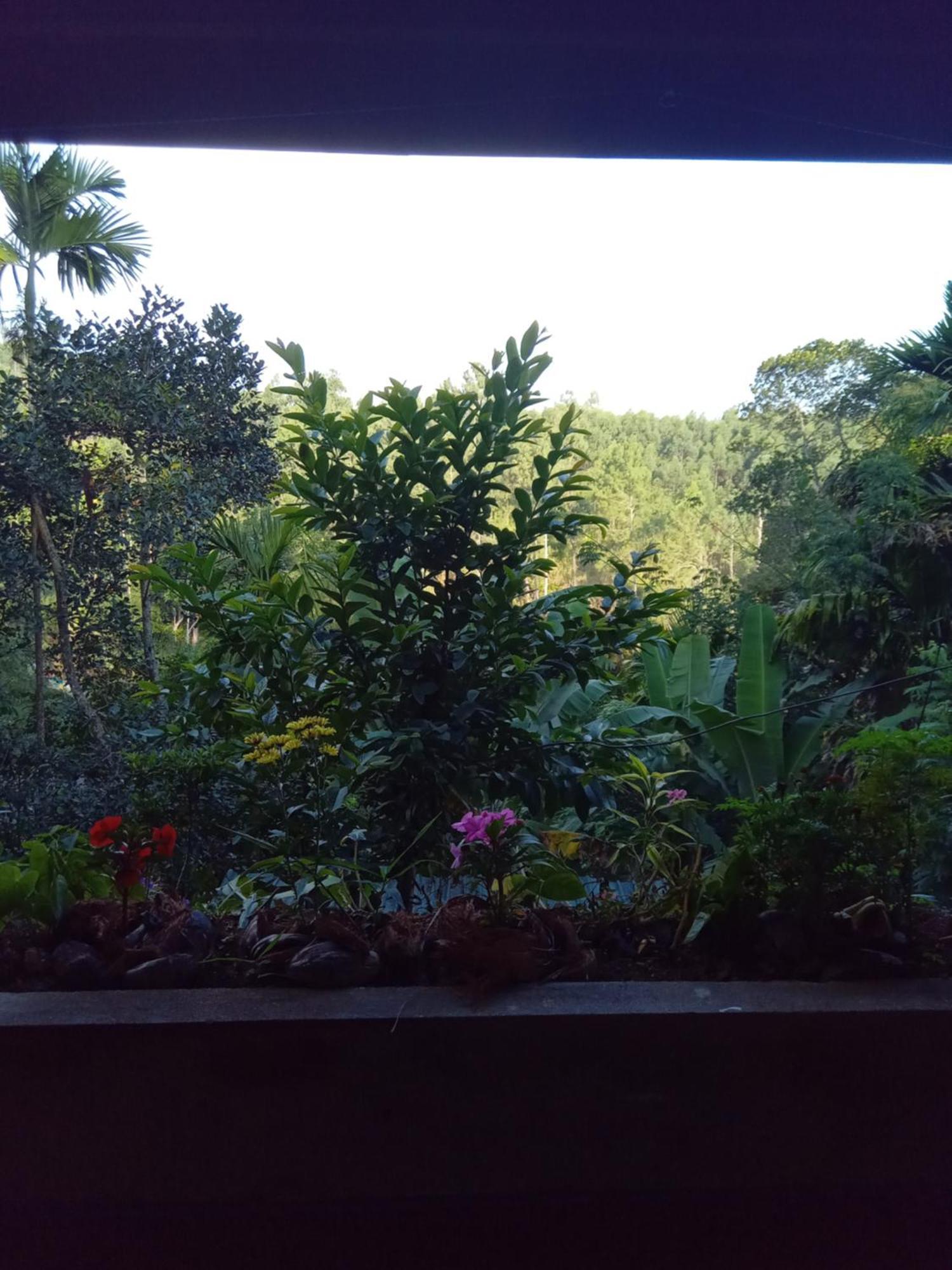 Aroma Heaven Homestay Ella Esterno foto