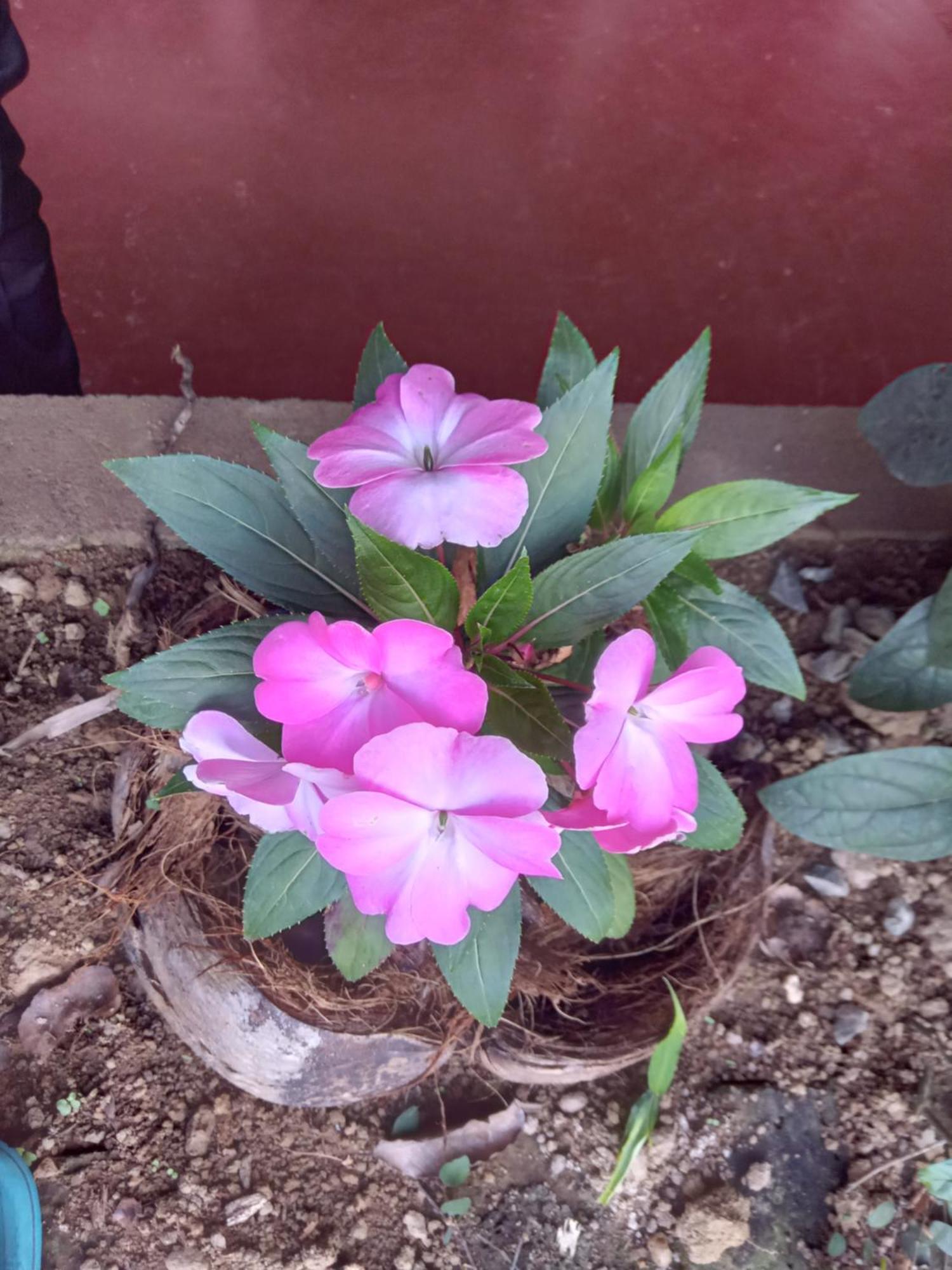 Aroma Heaven Homestay Ella Esterno foto
