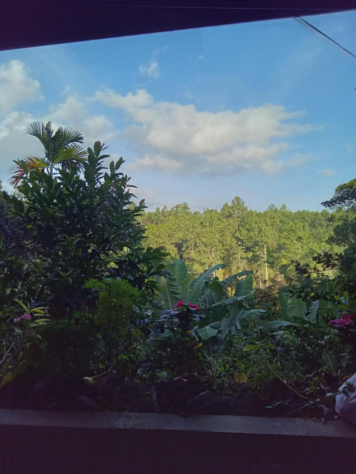 Aroma Heaven Homestay Ella Esterno foto