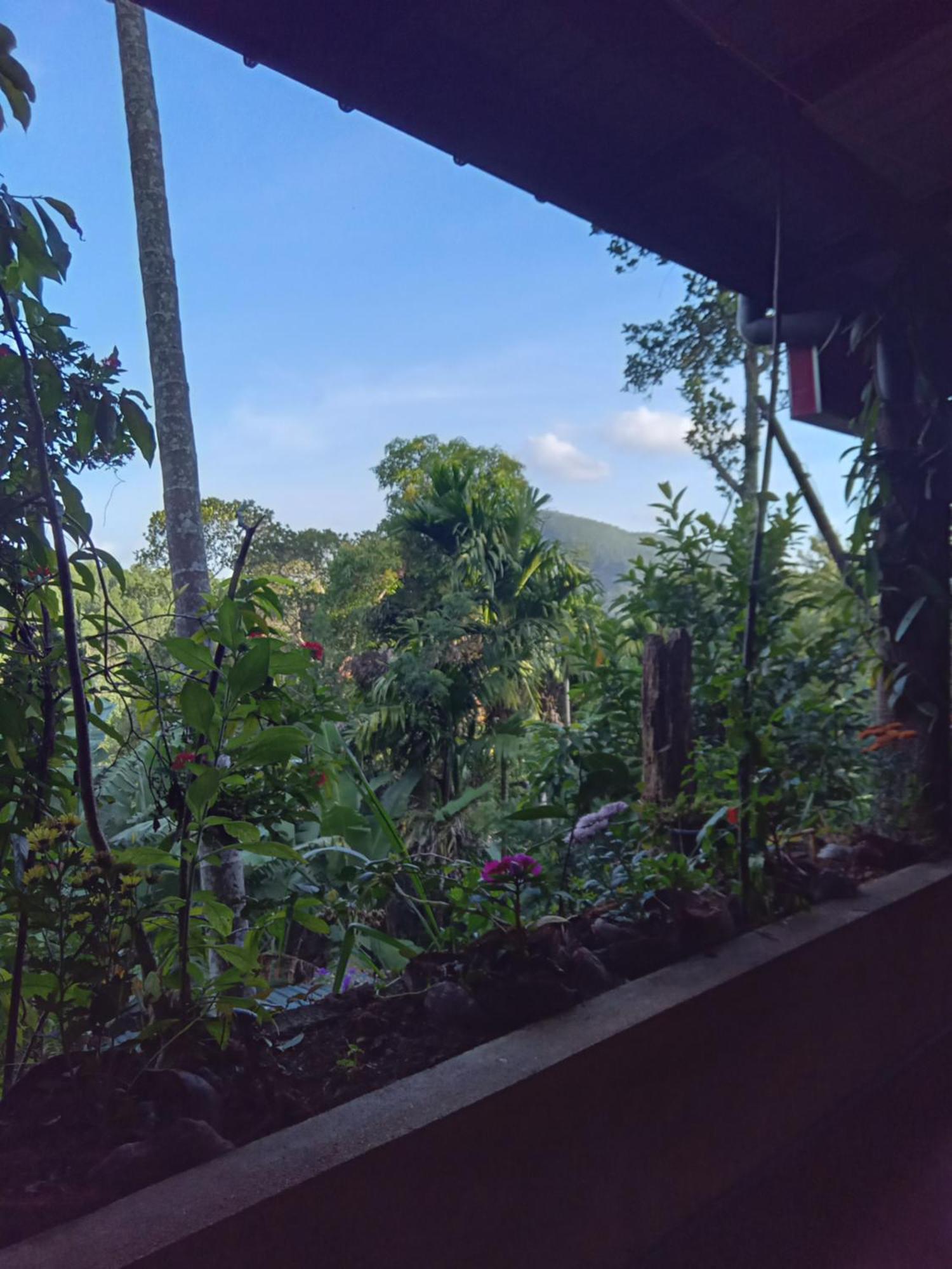 Aroma Heaven Homestay Ella Esterno foto