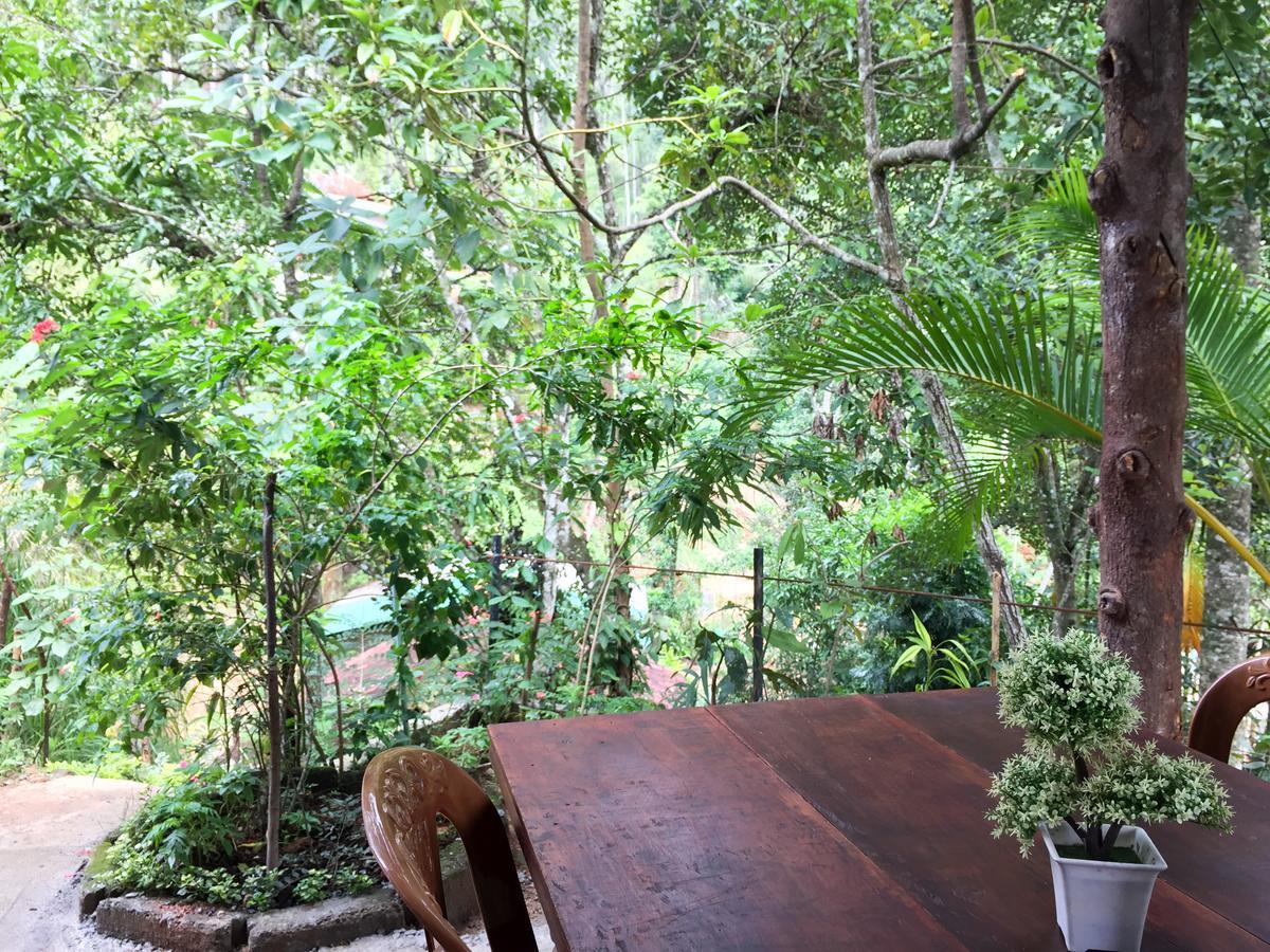 Aroma Heaven Homestay Ella Esterno foto